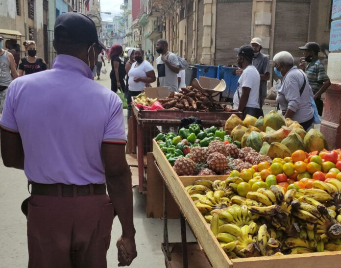 Los datos agropecuarios de la Onei reflejan una crisis alimentaria sin precedente en Cuba