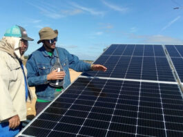 Los errores en la instalación del parque fotovoltaico de Ciego de Ávila obliga China a mandar técnicos