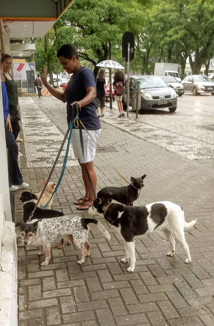 A Day Outing, Curitiba, Brazil – Photo of the Day – Havana Times