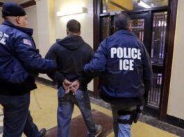 Redadas de ICE afectan negocios en Florida: caída en ventas y temor en la comunidad