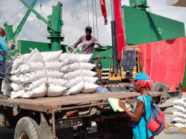 Cuba Pays US $300+ Million a Year for Rice Imports – Havana Times