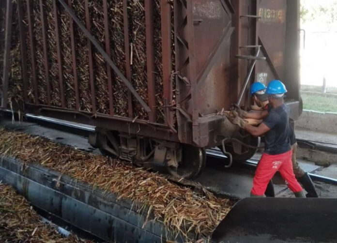 Reparten azúcar donada por Brasil en las bodegas, mientras la zafra se anuncia pésima en Cuba