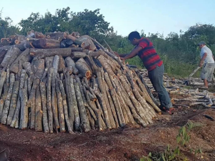 En plena crisis energética, desaparece uno de los poblados carboneros más productivos de Cuba