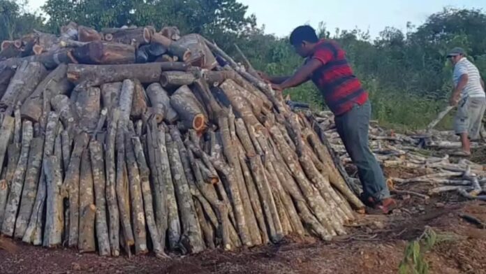 Amid Cuba's Energy Crisis a Leading Coaling Town Disappears – Havana Times