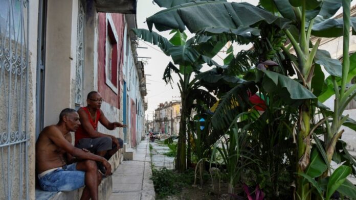 Vecinos cuidan un platanal que creció en un bache en La Habana: “La comida está muy cara”