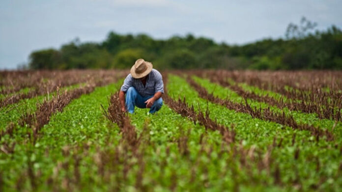 El Gobierno cubano contempla, por primera vez, otorgar por ley tierras en usufructo a extranjeros